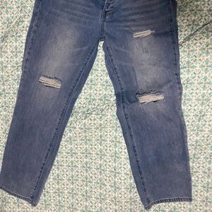 Flamingo Urban Distressed Boyfriend Jeans in Blue